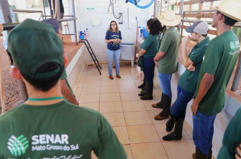 Imagem ilustrativa da matéria SENAR leva curso de relações interpessoais a jovens de Pedro Gomes